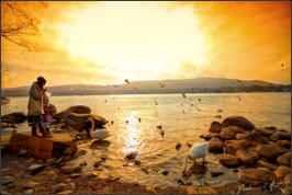 (Abbild ca. 10% Grösse des Originals)