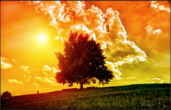 (Abbild ca. 10% Grösse des Originals)